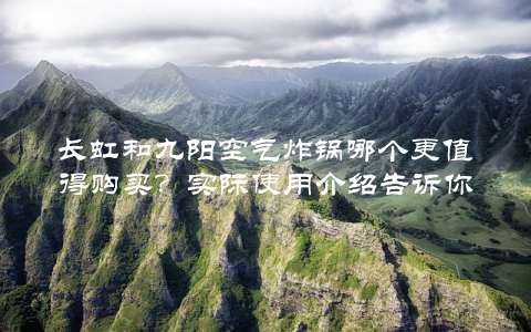 长虹和九阳空气炸锅哪个更值得购买？实际使用介绍告诉你答案