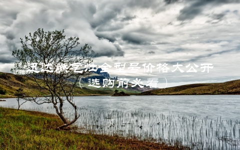 迅达燃气灶全型号价格大公开（选购前必看）
