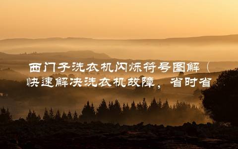 西门子洗衣机闪烁符号图解（快速解决洗衣机故障，省时省力）