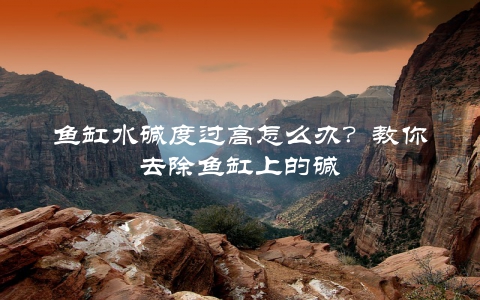 鱼缸水碱度过高怎么办？教你去除鱼缸上的碱