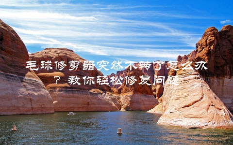 毛球修剪器突然不转了怎么办？教你轻松修复问题