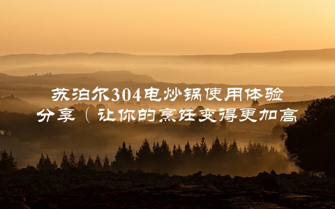 苏泊尔304电炒锅使用体验分享（让你的烹饪变得更加高效和健康）