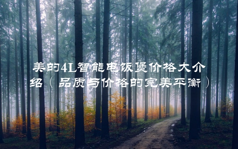 美的4L智能电饭煲价格大介绍（品质与价格的完美平衡）
