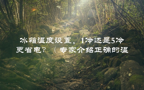 冰箱温度设置，1冷还是5冷更省电？（专家介绍正确的温度调节方法）