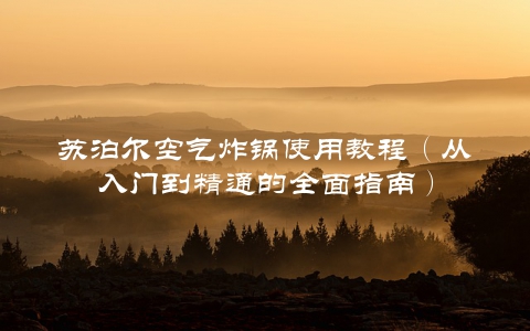 苏泊尔空气炸锅使用教程（从入门到精通的全面指南）