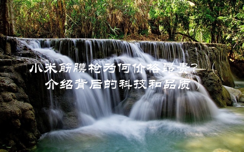 小米筋膜枪为何价格昂贵？（介绍背后的科技和品质）