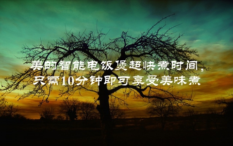 美的智能电饭煲超快煮时间，只需10分钟即可享受美味煮饭体验