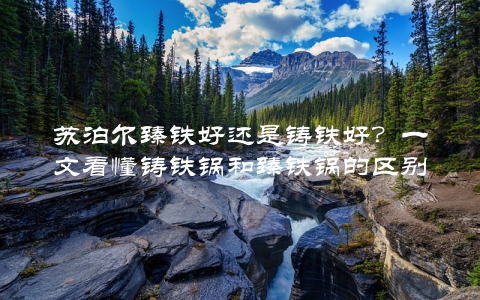 苏泊尔臻铁好还是铸铁好？一文看懂铸铁锅和臻铁锅的区别