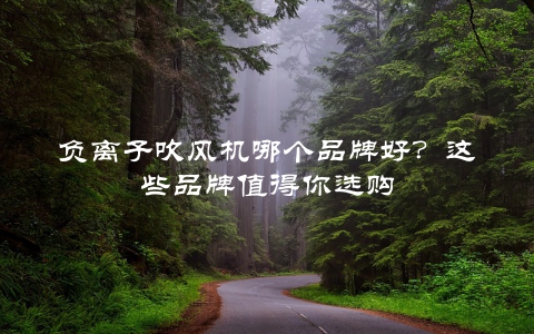 负离子吹风机哪个品牌好？这些品牌值得你选购
