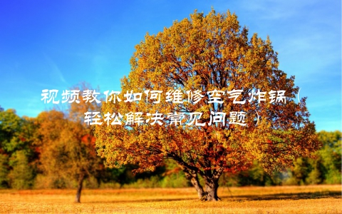 视频教你如何维修空气炸锅（轻松解决常见问题）