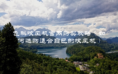 飞科吹风机官网购买攻略（如何选购适合自己的吹风机）