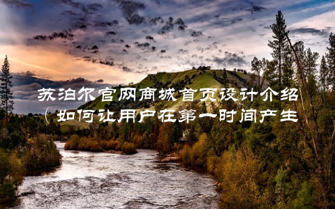 苏泊尔官网商城首页设计介绍（如何让用户在第一时间产生购买欲望）
