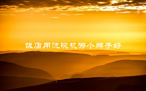 饭店用洗碗机哪个牌子好