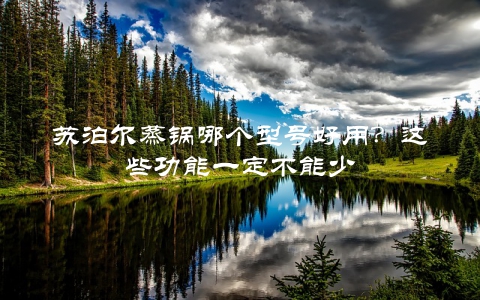 苏泊尔蒸锅哪个型号好用？这些功能一定不能少