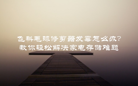飞科毛球修剪器发霉怎么办？教你轻松解决家电存储难题