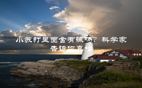 小苏打里面含有碱吗？科学家告诉你真相