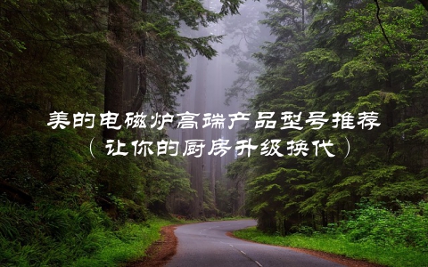 美的电磁炉高端产品型号推荐（让你的厨房升级换代）
