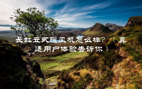 长虹立式暖风机怎么样？（真适用户体验告诉你）