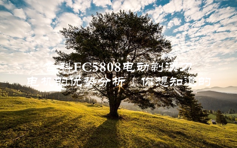 飞科FC5808电动剃须刀电机的优势分析（你想知道的全在这里）