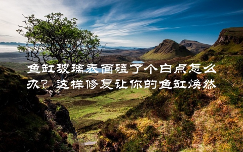 鱼缸玻璃表面磕了个白点怎么办?这样修复让你的鱼缸焕然一新