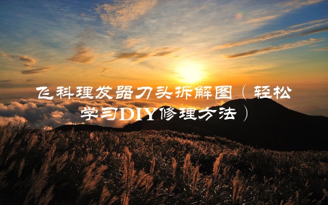 飞科理发器刀头拆解图（轻松学习DIY修理方法）