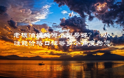 老板油烟机哪个型号好？（从性能价格口碑等多个角度为您介绍）
