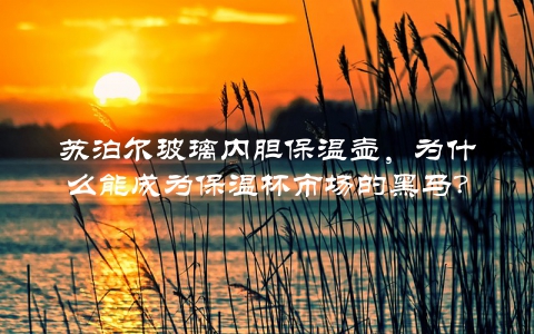 苏泊尔玻璃内胆保温壶,为什么能成为保温杯市场的黑马?
