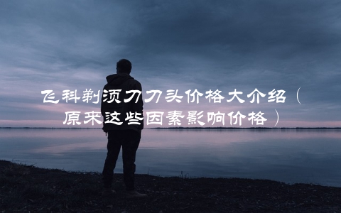 飞科剃须刀刀头价格大介绍(原来这些因素影响价格)
