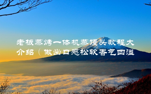 老板蒸烤一体机蒸馒头教程大介绍（做出口感松软香气四溢的馒头方法）
