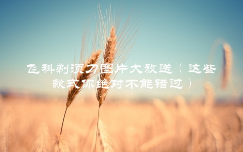 飞科剃须刀图片大放送（这些款式你绝对不能错过）