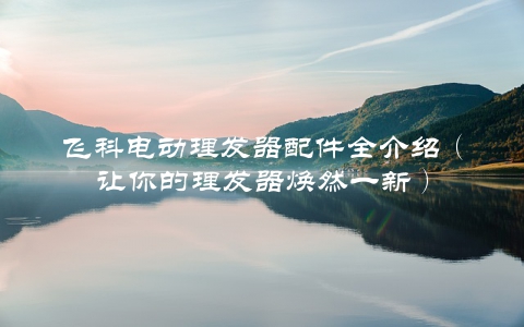 飞科电动理发器配件全介绍（让你的理发器焕然一新）