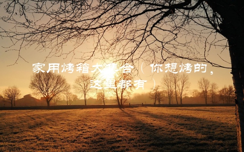 家用烤箱大集合（你想烤的，这里都有）