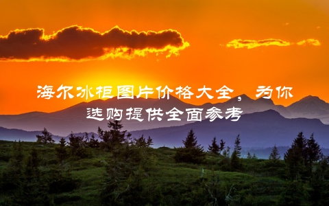 海尔冰柜图片价格大全，为你选购提供全面参考