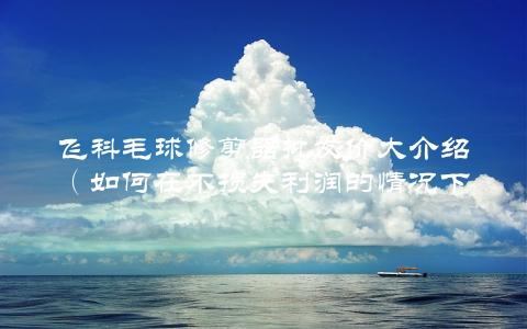 飞科毛球修剪器批发价大介绍(如何在不损失利润的情况下获取最大收益)