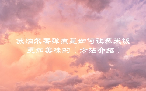 苏泊尔香弹煮是如何让蒸米饭更加美味的（方法介绍）