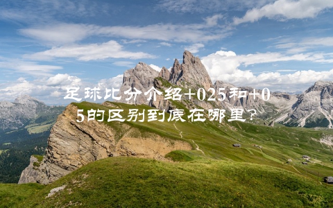 足球比分介绍+025和+05的区别到底在哪里？