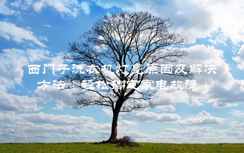 西门子洗衣机灯亮原因及解决方法（轻松搞定家电故障）
