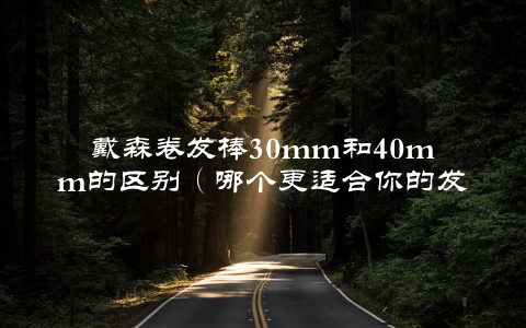 戴森卷发棒30mm和40mm的区别（哪个更适合你的发型？）