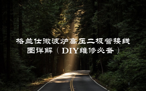 格兰仕微波炉高压二极管接线图详解（DIY维修必备）