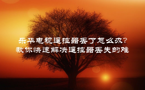 乐华电视遥控器丢了怎么办？教你快速解决遥控器丢失的难题
