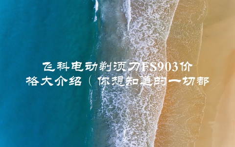 飞科电动剃须刀FS903价格大介绍（你想知道的一切都在这里）