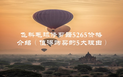 飞科毛球修剪器5265价格介绍（值得购买的5大理由）