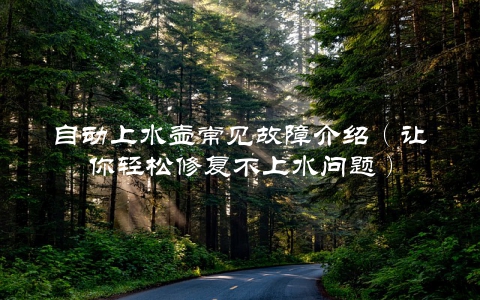 自动上水壶常见故障介绍（让你轻松修复不上水问题）