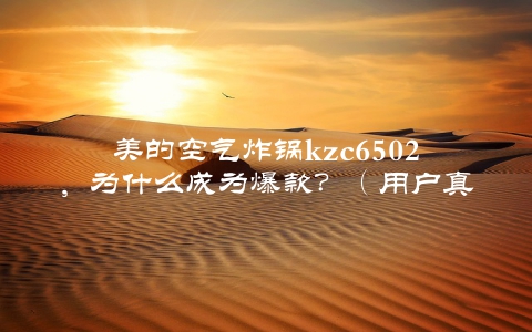 美的空气炸锅kzc6502，为什么成为爆款？（用户真实使用评测）