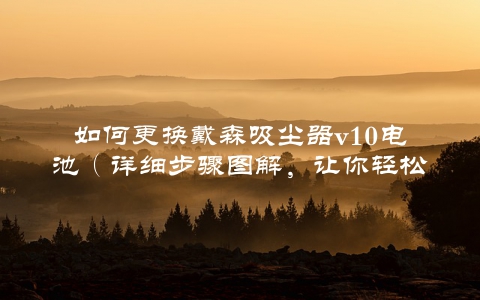 如何更换戴森吸尘器v10电池(详细步骤图解,让你轻松修复)