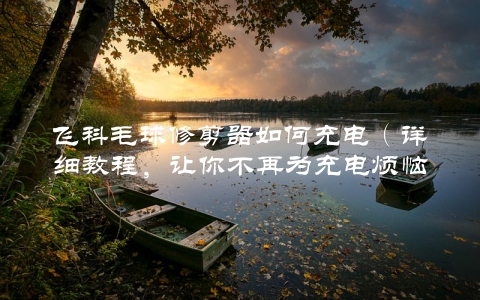 飞科毛球修剪器如何充电（详细教程，让你不再为充电烦恼）