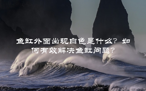 鱼缸外面出现白色是什么？如何有效解决鱼缸问题？