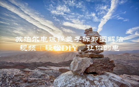 苏泊尔电饭锅盖子拆卸图解法视频（轻松DIY，让你的电饭锅更耐用）
