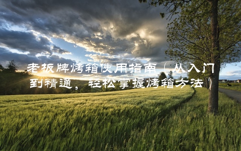 老板牌烤箱使用指南（从入门到精通，轻松掌握烤箱方法）