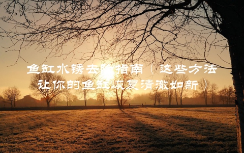 鱼缸水锈去除指南（这些方法让你的鱼缸恢复清澈如新）